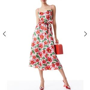 Alice +olivia dress in high tea floral